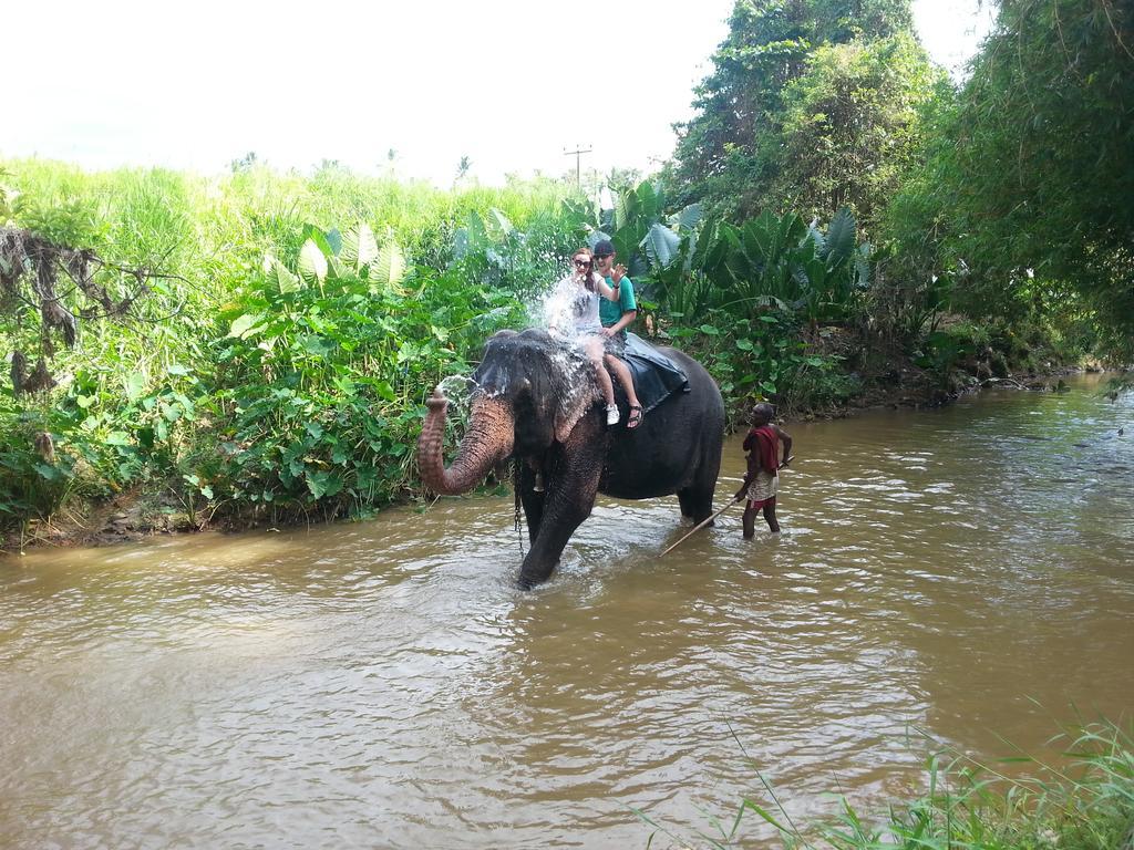 Elephant Reach Villa Pinnawala Pinnawala  Esterno foto