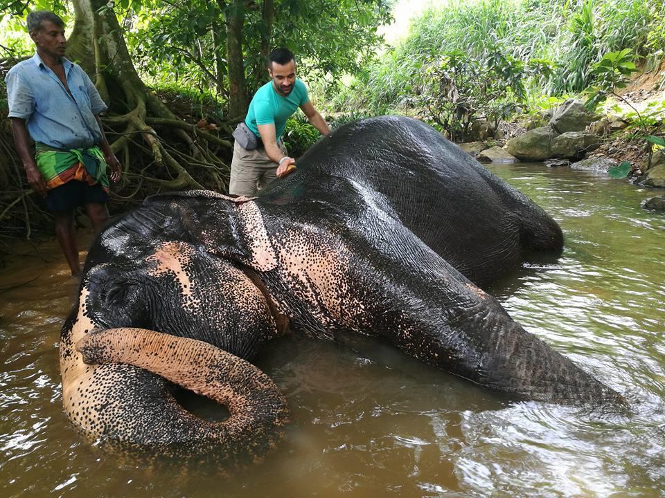 Elephant Reach Villa Pinnawala Pinnawala  Esterno foto